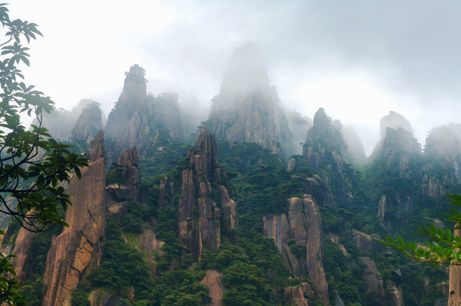 点击率最高十大图片